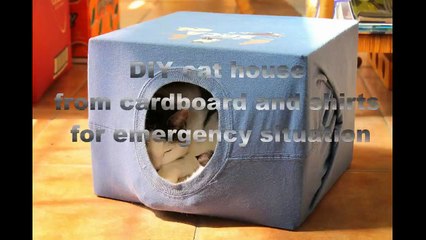 DIY cat house from cardboard and shirt for emergency situation