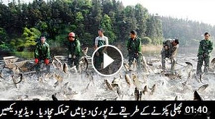 Fish Catching technique of Chinese