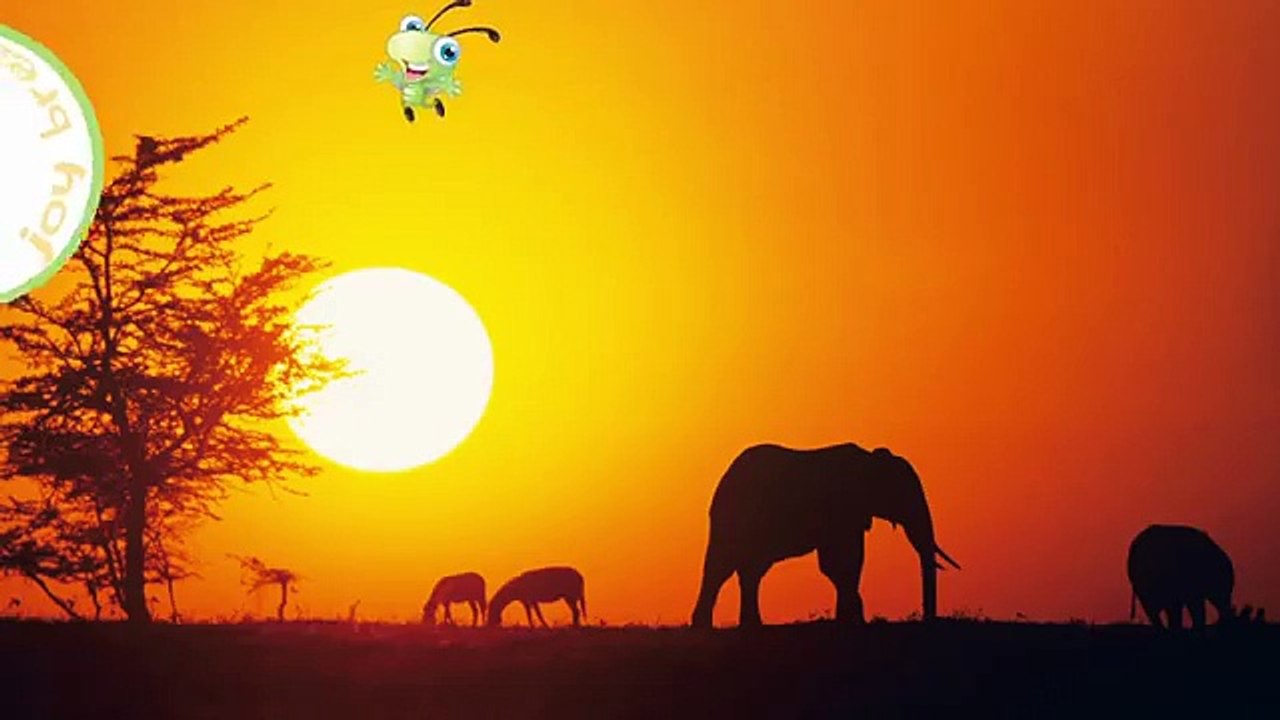 Law of Attraction for Kids - Today Dream