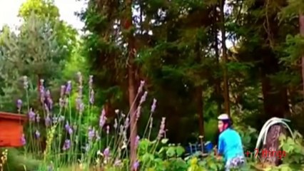 kakumpulan video lucu Spesial aksi gagal naik sepeda