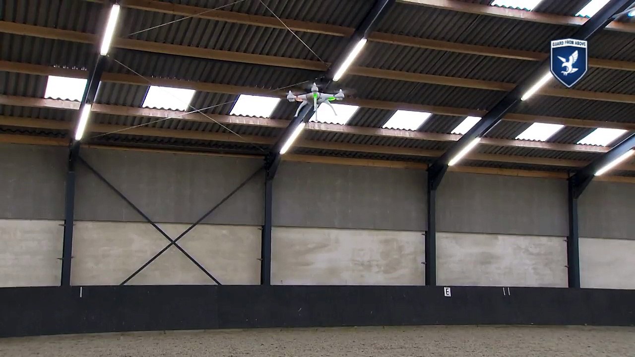 Des aigles entraînés à attraper des drones volants en Hollande!