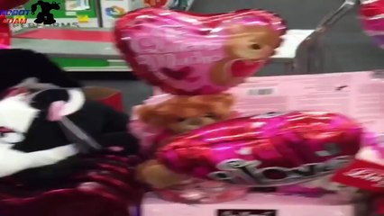 New The Best Vines of February-March 2015 HD