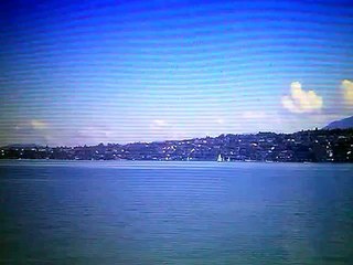 COEUR2SWAN 017 HOOPONOPONO JE T'AIME