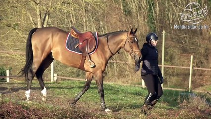 montbazillac du Lin Clip Pony Planet