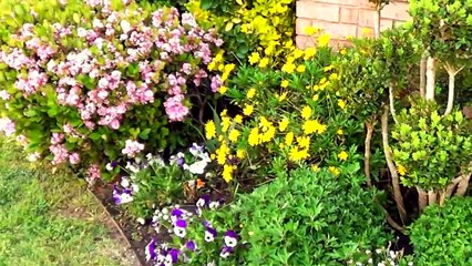 Клумбы и цветники на даче