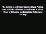 The Making of an African Working Class: Politics Law and Cultural Protest in the Manual Workers'