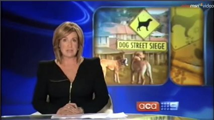 Psycho Dog Man Original Best Quality