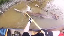Kayaker saves duck about to be eaten by hungry turtle
