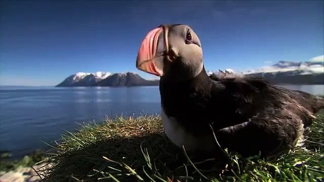 Du lịch Bắc Âu - Khám phá đất nước Iceland xinh đẹp