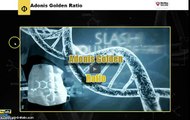 Adonis Golden Ratio Training Program By John Barban Review - Scam or Legit?
