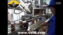 Carrot juice and Tomato juice glass bottle filling line