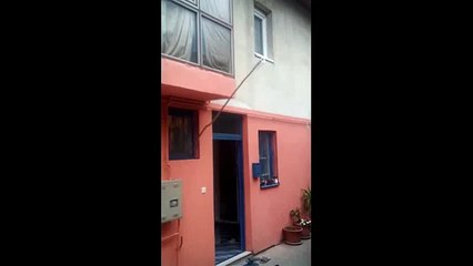 Road to 50 inch vertical leap