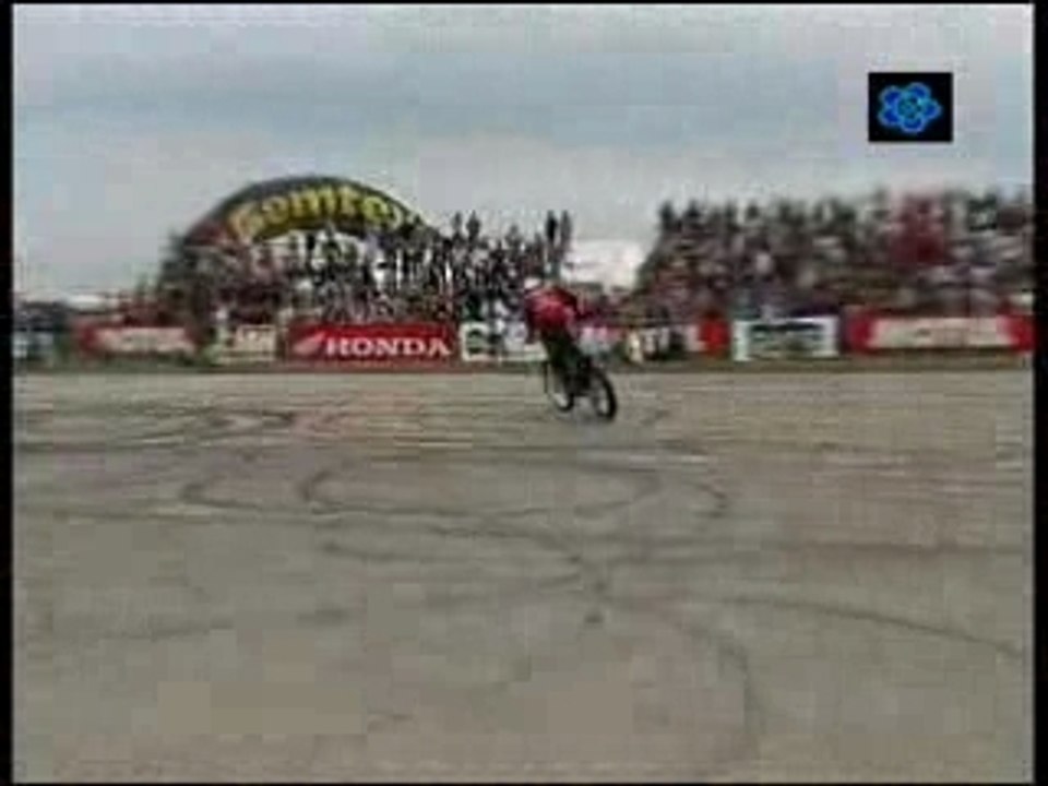 stunt