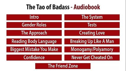 Joshua Pellicer - The Friend Zone - The Tao of Badass Audiobook