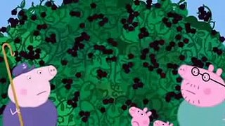 Świnka Peppa  ☻ Po Polsku - Krzew Jeżynowy (Season 3 Series 46)