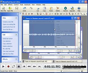WavePad Demonstration Clip 2