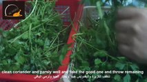 طريقة حفظ الكزبرة والبقدونس في الفريزر على شكل مكعبات - How to Freeze Coriander and parsley as Cube