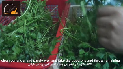 طريقة حفظ الكزبرة والبقدونس في الفريزر على شكل مكعبات - How to Freeze Coriander and parsley as Cube