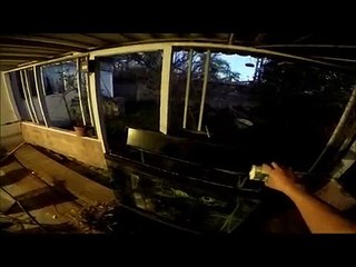 Economics Final Project GoPro Hero 4 Caring for an Animal