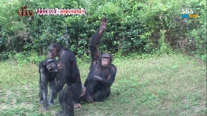 [맛집] ∞OlO↔59O6↔1O5O∞ 분당출장안마 성남출장안마(정자/야탑/벤처타운출장ok) 분당출장안마 ✱믿고부르는성남출장안마✱