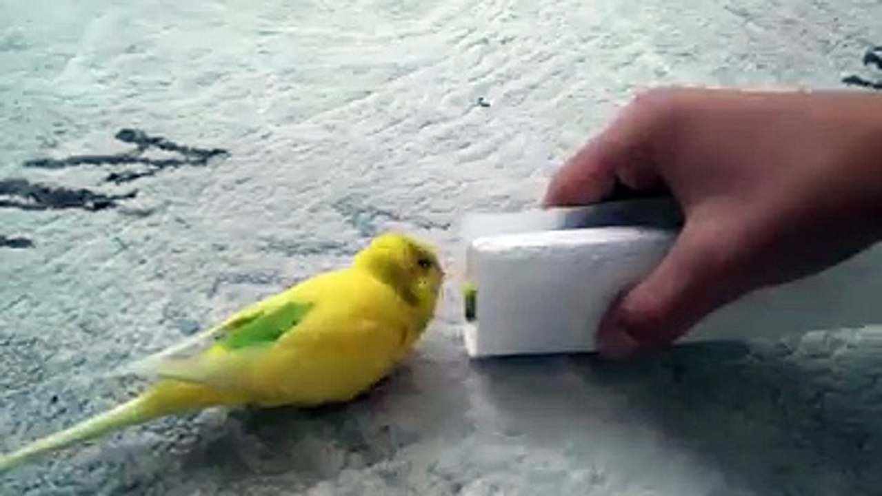 true love