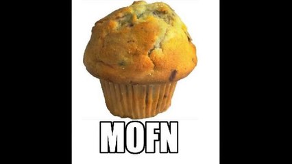 Herp Derp Celebrities