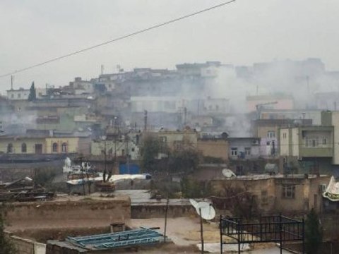 Cizre'ye Yürümek İsteyen HDP'lilere Polis Müdahalesi
