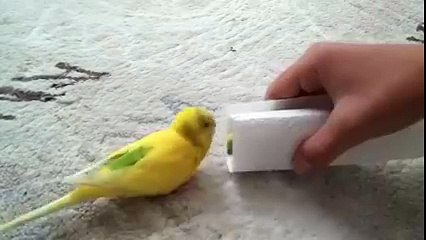 This Video Make me cry