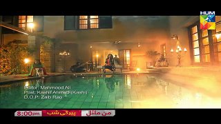 Mann Mayal Full OST HUM TV Drama