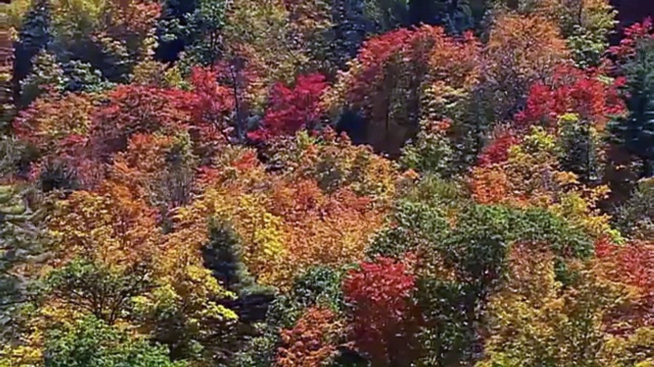 Abundant Mind Preview - Attract Money and Luxury