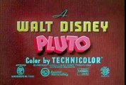 Old school Cartoons Pluto Plutos Fledgling