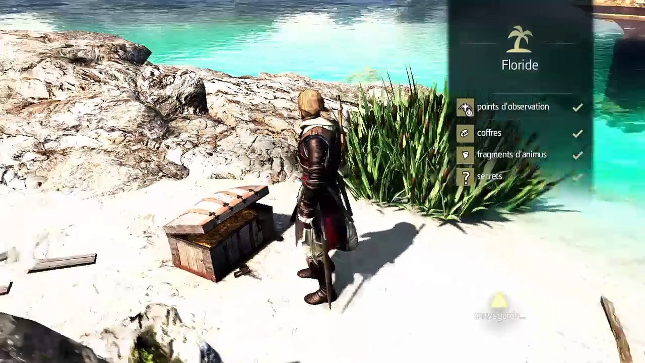Assassin's Creed 4 black Flag    Walkthrough 24