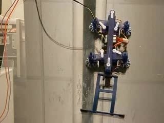climbing robot