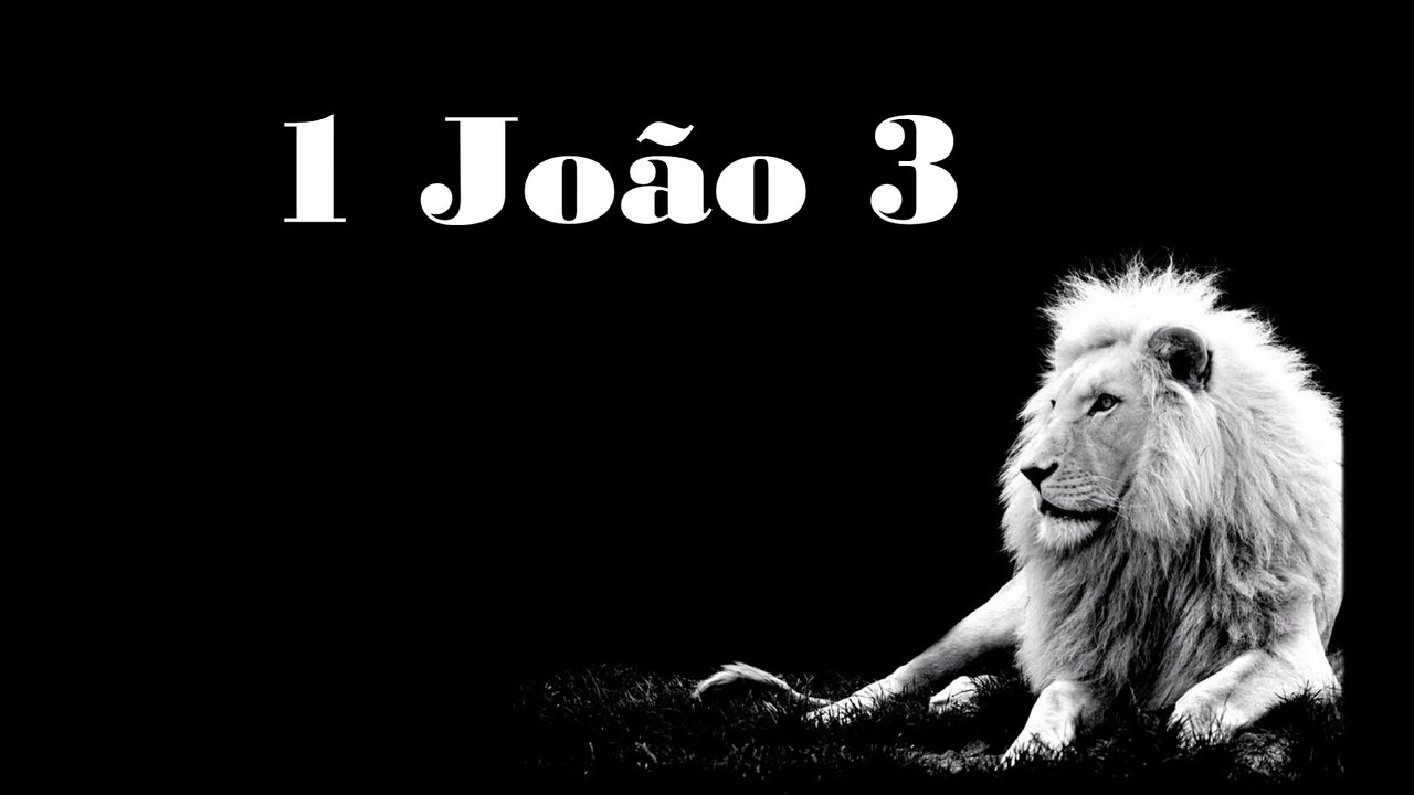 1 João - 03