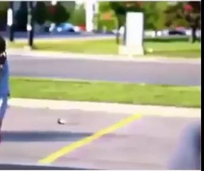 Funny Or Die Funny Videos Funniest And Crazie (FULL HD)