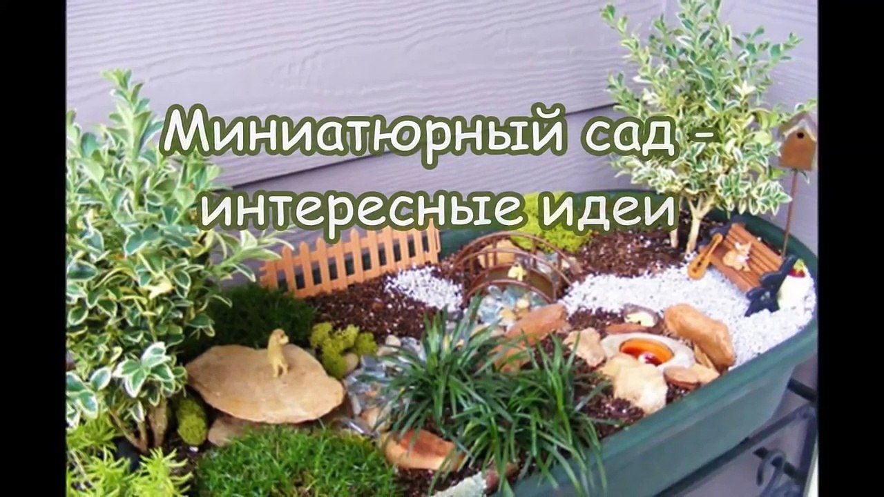Миниатюрный сад - интересные идеи!