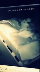 مقطع مصور لخادمة مصرية