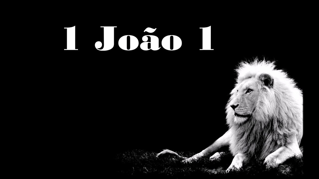 1 João - 01