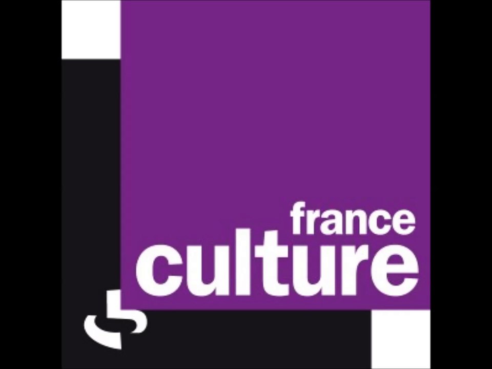 Passage média - France culture - J.Thouvenel - Référendum salariés