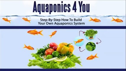 Aquaponics 4 You Review | Is Aquaponics 4 You As Good As It Sounds?