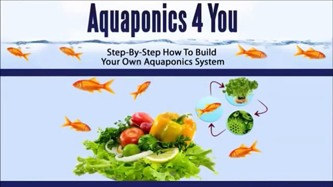 Aquaponics 4 You Review | Is Aquaponics 4 You As Good As It Sounds?