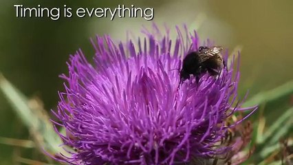 2013 nature photography masterclass with Krasimir Matarov