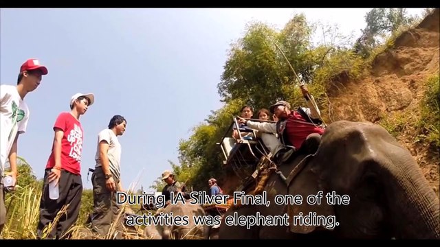 Voici pourquoi vous ne devez jamais monter sur le dos d'un éléphant en voyage!