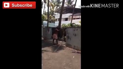 Funny WhatsApp Videos Which Will Make you Laugh Out Loud on Floor
