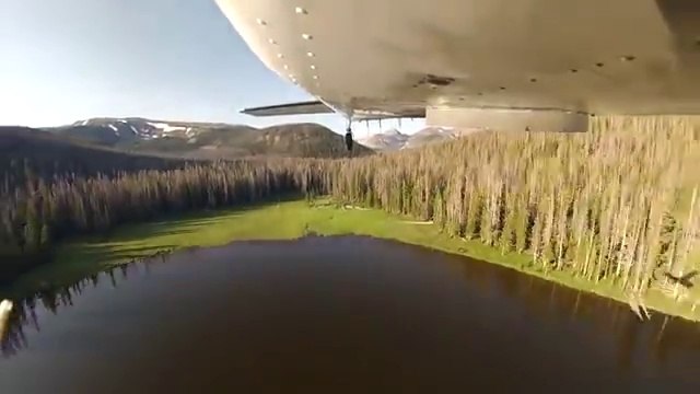 Plane drops thousands of little Fishes into Lake flying above!