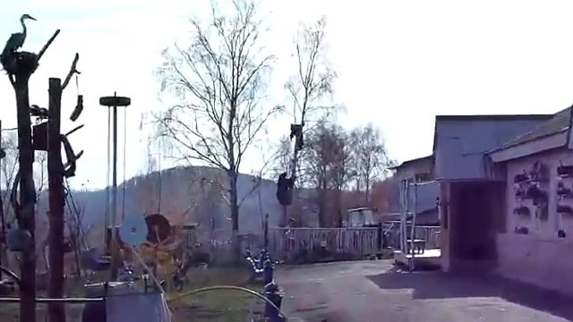 Il filme un homme poursuivit par un ours, coincé en haut d'un arbre... Vive la russie!