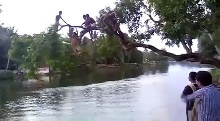 WhatsApp Funniest Videos