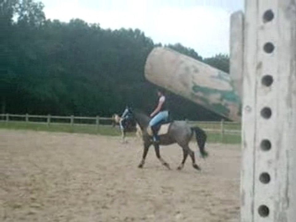 VID0015