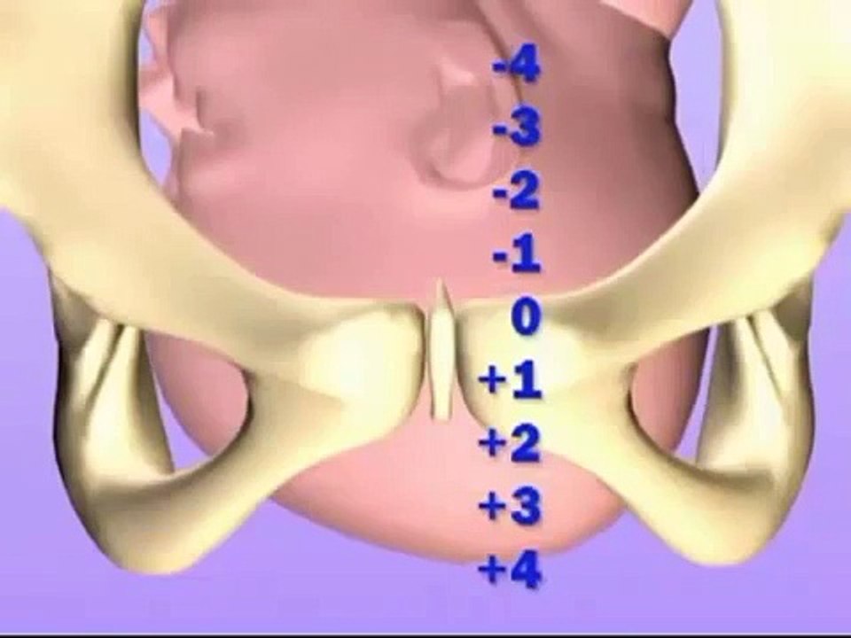 Popular Videos - Water birth & Birthing center