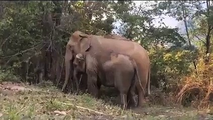 3 Yılı Aşkındır Ayrı Olan Anne ve Kızın Duygusal Buluşma Anı